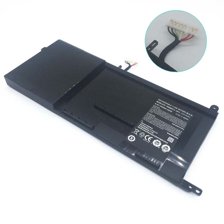 CLEVO Sager NP8650
																 Laptop Accu's