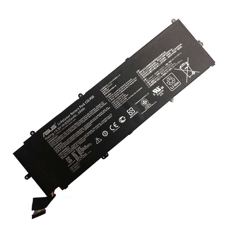 ASUS CI2-P05
																 Tablet PC Batterijen