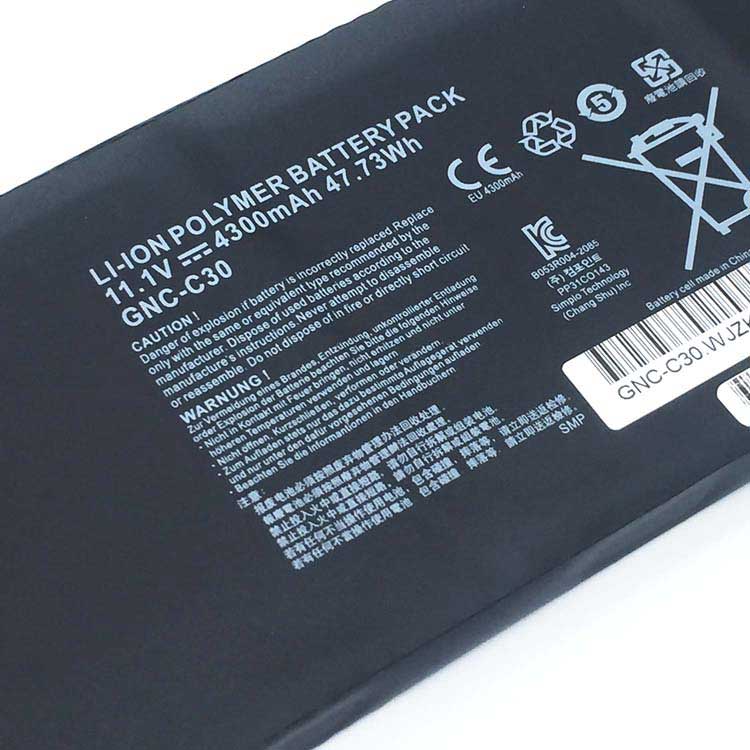 GIGABYTE GNC-C30
																 Laptop Accu's