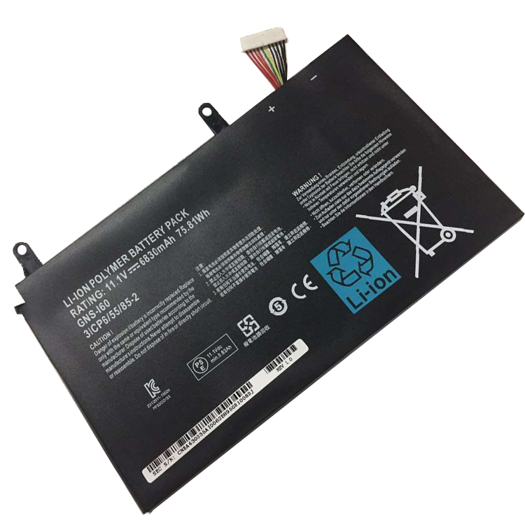 Gigabyte P57X v6
																 Laptop Accu's