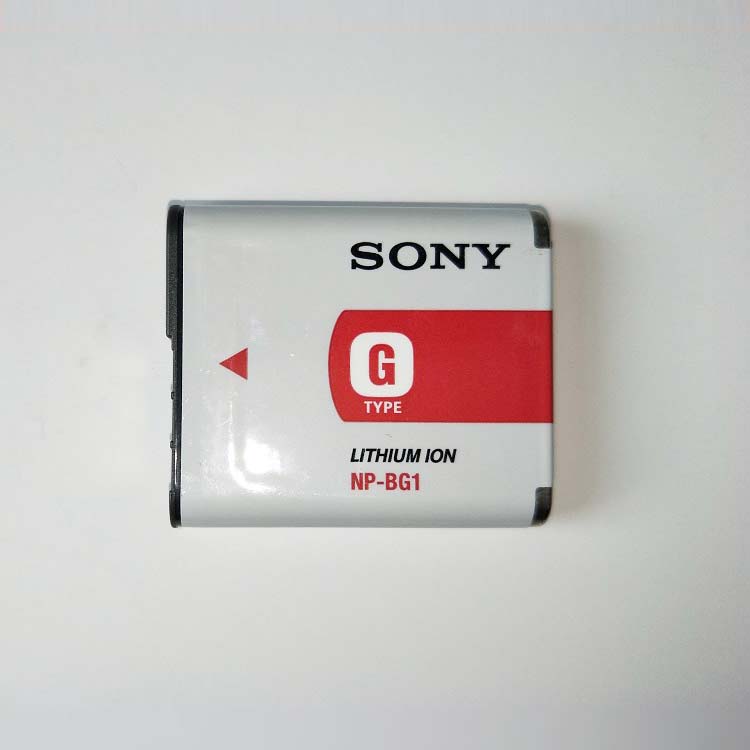 SONY T100 DSC-N1
																 Accu's & Batterijen