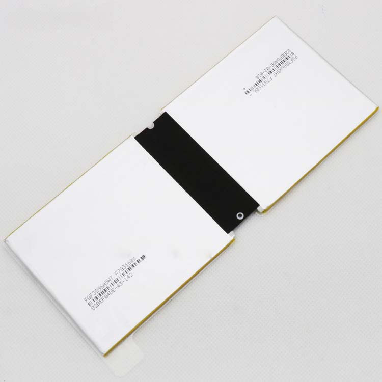 MICROSOFT 2ICP3/97/106
																 Tablet PC Batterijen