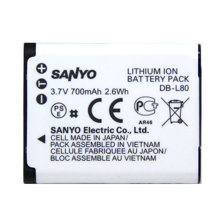 SANYO VPC-CS1 CG20 CG88 CG100 CA100 GH1 GH3 batería